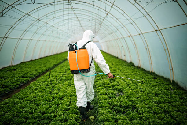 Best Local Pest Control Services  in Taos Pueblo, NM