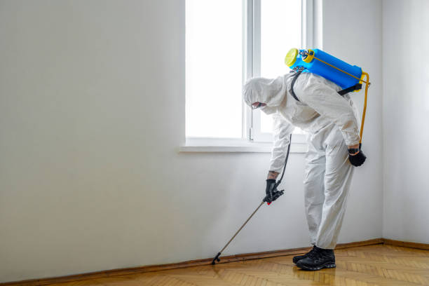 Best Mosquito Control Services  in Taos Pueblo, NM
