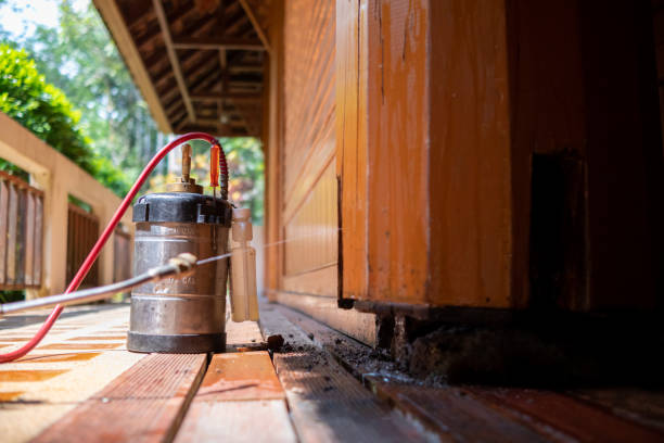 Best Commercial Pest Control Services  in Taos Pueblo, NM